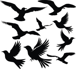 bird in flight silhouette, vector art, minimalist design