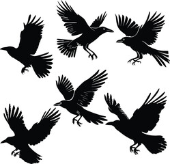 bird in flight silhouette, vector art, minimalist design