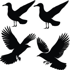 Stylish bird silhouette vector art, minimalist design, elegant lines