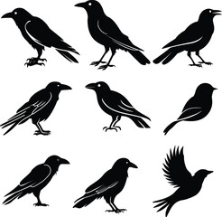 Stylish bird silhouette vector art, minimalist design, elegant lines