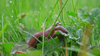  rail system, rail transport, 