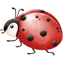 Baby ladybug and mushrooms.
