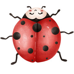 Fototapeta premium Baby ladybug and mushrooms. 