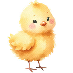 watercolor cute chick