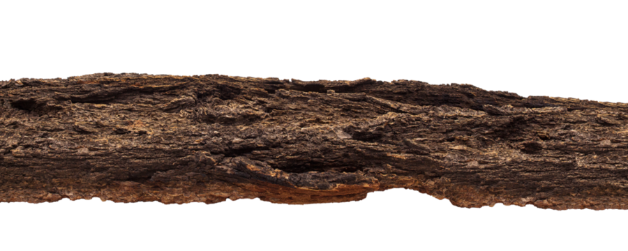 Bark texture of brown tree on white isolated background. Abstract podium for organic cosmetic products. Design element. Natural stand for presentations and exhibitions or as part of nature