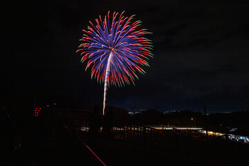 小坂田公園の花火