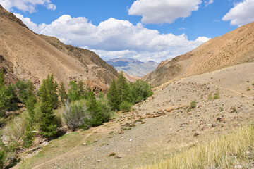 Landscape in the mountains. Beautiful photo wallpaper of mountainous area. 