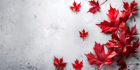 Banner for canada day with place for text, red maple leaves on a white background with copy space