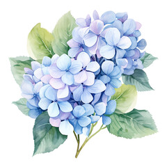 Close-up watercolor illustration of blue hydrangea flowers and green leaves, perfect for greeting cards, invitations, and decor.