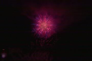 日本の芸術花火