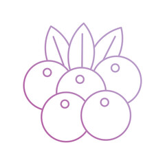 berry icon with white background vector stock illustration