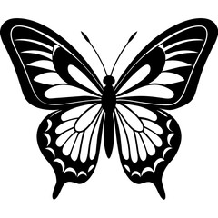 black and white butterfly