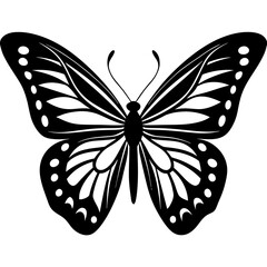 black butterfly