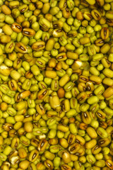 Close up of dry mungo beans soaked in water