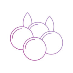 blueberry icon with white background vector stock illustration
