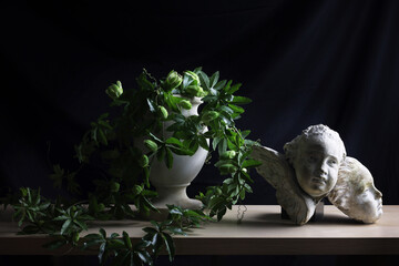 Still life su fondo nero, con pianta di passiflora, vaso in marmo e sculture
