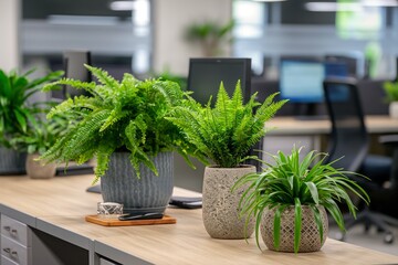 A modern office interior adorned with a lush houseplant in a decorative pot, bringing natural beauty indoors