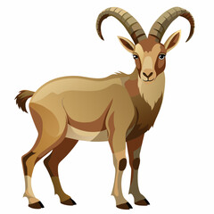 goat isolated on white background