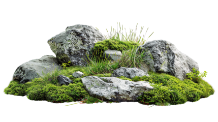 piles of stones accompanied by green moss and grass