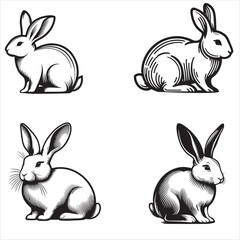 set of rabbit silhouettes on white background
