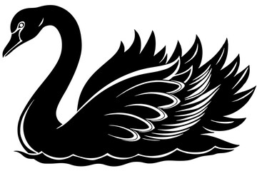 black swan silhouette vector illustration