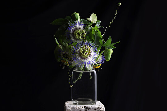 Primo piano di fiori di passiflora recisi in un vaso di vetro trasparente
