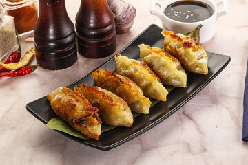 Fried Japanese stuffed dumplings - Gyoza