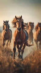 Obraz premium Herd of Free Roaming Horses Galloping Across Grassy Plain