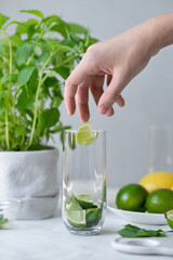 Process of making homemade mojito cocktail drink, hand placing sliced green limes in glass with mint leaves, ingredients for mojito on table, on neutral gray background, soft natural light