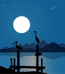 There are some moonlit night birds Vector Illustration