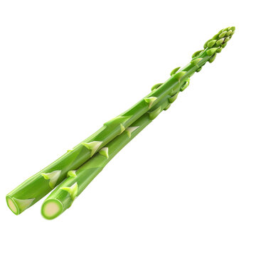 recommend clip art: Single Asparagus Spear With Transparent Background Clipart