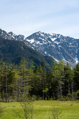 雪が残る穂高連峰・田代湿原からの景色