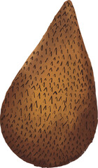 Snake Fruit Illustration