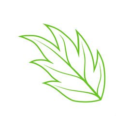Doodle leaf line decoration leaves tree hand drawing modern that can be used for sticker, book, scrapbook, icon, decorative, e.t.c with aesthetic green colorful color