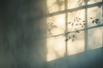 Blurred natural light window with realistic and minimalist style. Generative Ai