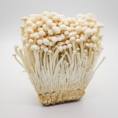 enoki mushroom  isolated on white background