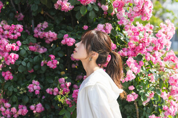 Fototapeta premium バラ園にいる女性