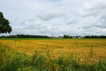 Feldmoching church with wheat field in the foreground