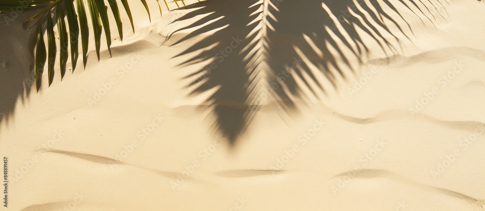 Poster top view of a banner casting shadow with palm leaves on sandy beach featuring ample copy space image