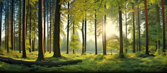 Obraz premium A webinar banner displaying a copy space image of an oil leak from a ship leading to water pollution caused by industrial chemicals and petroleum products