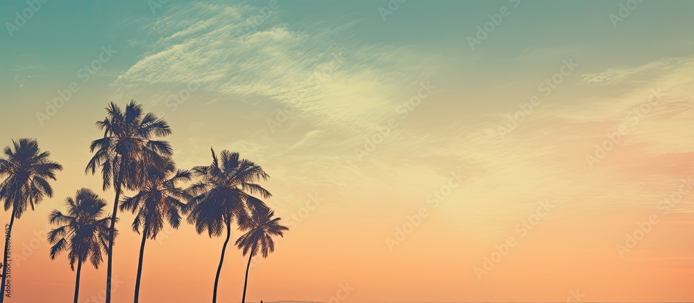 Canvas Prints Sunset beach scene with coconut palm tree silhouettes in vintage style providing a tranquil backdrop for your copy space image