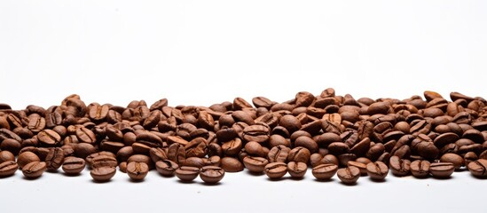 Ground and whole roasted coffee beans and fresh beans in a white background with space for text. Copy space image. Place for adding text and design
