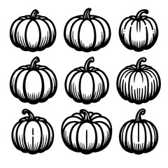 Outlined pumpkin, pumpkin doodles, pumpkin line art vector illustration.