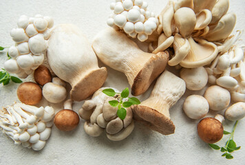 Assortment of various mushrooms