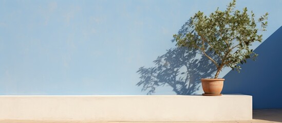 Exterior architecture featuring a minimalist Mediterranean style with a wall and plants ideal for a background in images with copy space