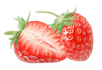 Red strawberry half, slice hand drawn watercolor illustration. Delicious food art, fresh botanical realistic painting. Summer berry clipart for cafe menu, packaging of farm goods, vegan products