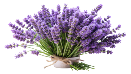 a beautiful bouquet of lavender flowers, tied together with a string, and placed in a white vase