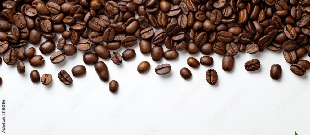 Poster dark coffee beans float on white backdrop with copy space image