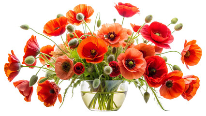 a vibrant bouquet of red poppies arranged in a clear glass vase. The fully bloomed flowers, buds, and seed pods create a dense and lush composition