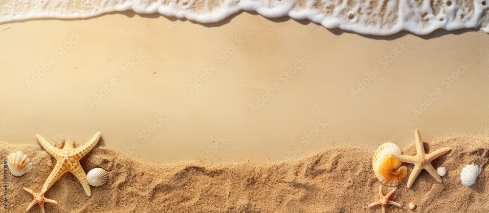 Poster sandy beach from above with seashells and starfish ideal for summer design with copy space image